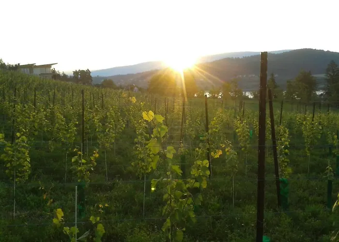 Bed & Breakfast Laengseeleit'n 4*